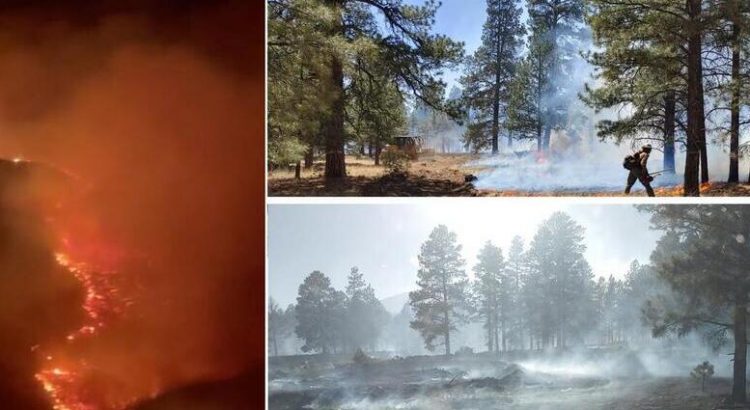 Incendio Pipeline en Arizona ha quemado 25,000 acres.