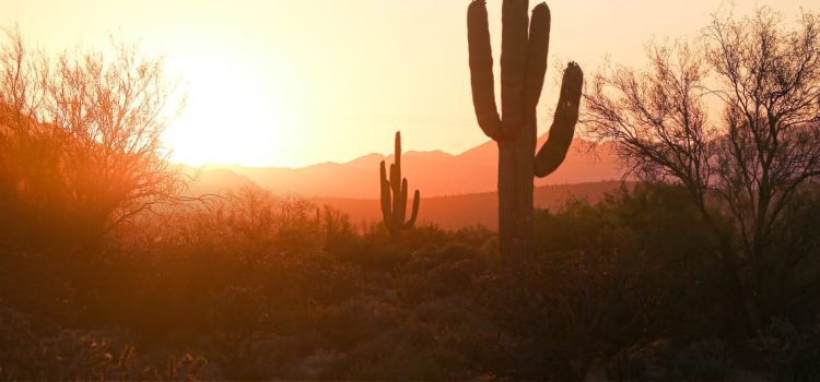 Extienden cierres de rutas de senderismo en Phoenix para combatir las altas temperaturas