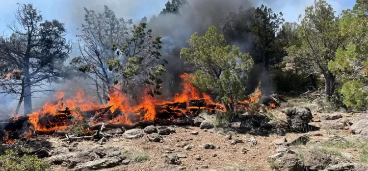 Incendios en el Bosque Nacional Coconino consumen más de 500 acres