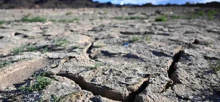 Sequía extrema golpea a Arizona