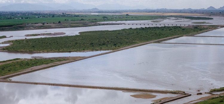 Arizona busca soluciones innovadoras para la gestión del agua en medio de la sequía