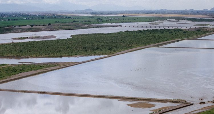 Arizona busca soluciones innovadoras para la gestión del agua en medio de la sequía