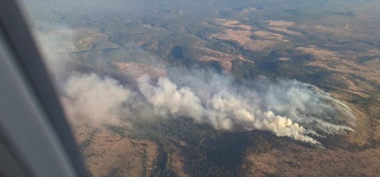 Incendio forestal en Apache Maid Mountain controlado, pero sigue siendo visible