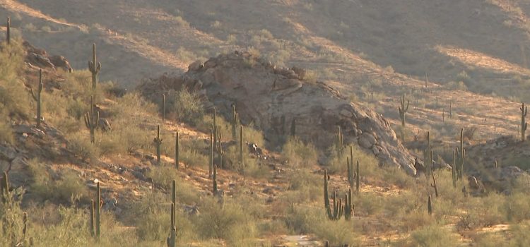 Informe meteorológico: sequía persiste en Arizona, pero El Niño brinda esperanza de precipitaciones