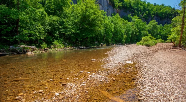 PepsiCo enfrenta demanda por contaminación plástica en el río Buffalo