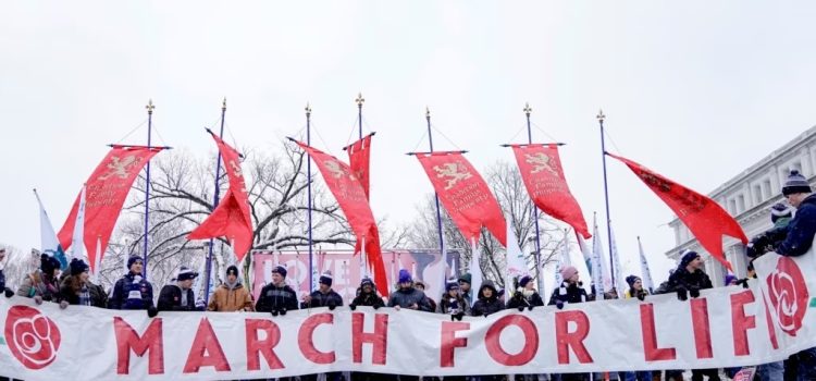 Opositores al aborto buscan mantener la presión tras decisión de la Corte Suprema