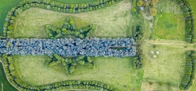 Construyó un bosque con forma de guitarra en memoria de su esposa