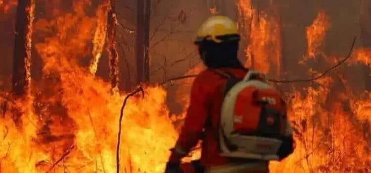 Bolivia enfrenta una emergencia nacional por incendios forestales: una crisis agravada por la sequía