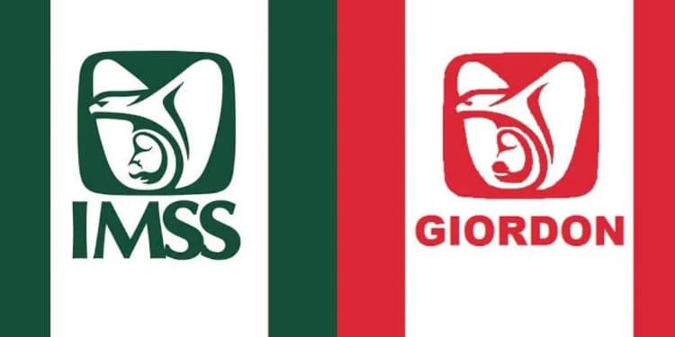 Empresa china plagió el logotipo del IMSS