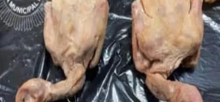 Que no te den paloma por pato