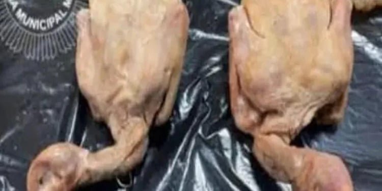 Que no te den paloma por pato