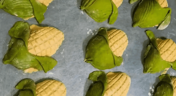 ¿Antojo? qué tal una conchaelote