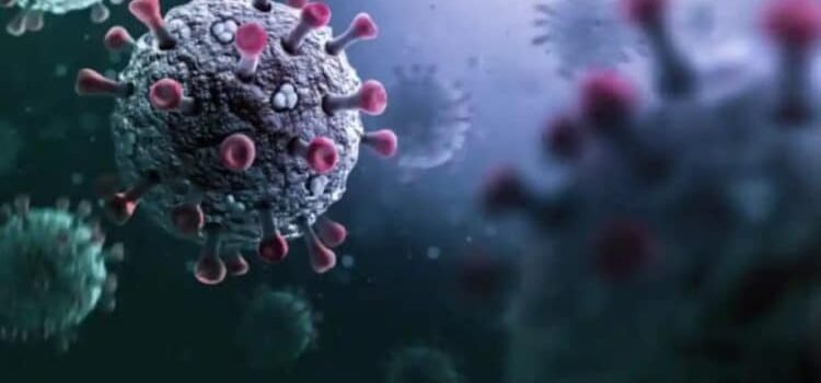 Emite la OMS alerta por virus Stratus