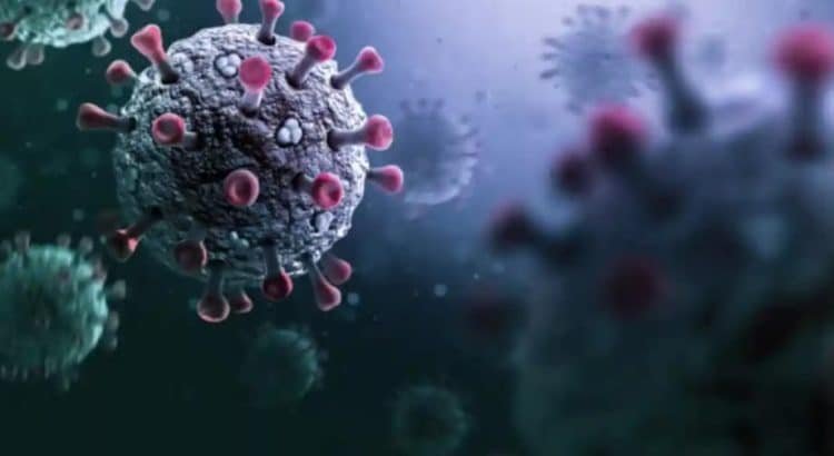 Emite la OMS alerta por virus Stratus