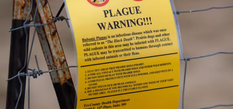 Estados Unidos confirma primera muerte por peste bubónica en 2025; no hay vacuna contra la enfermedad