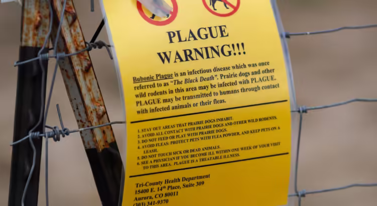 Estados Unidos confirma primera muerte por peste bubónica en 2025; no hay vacuna contra la enfermedad