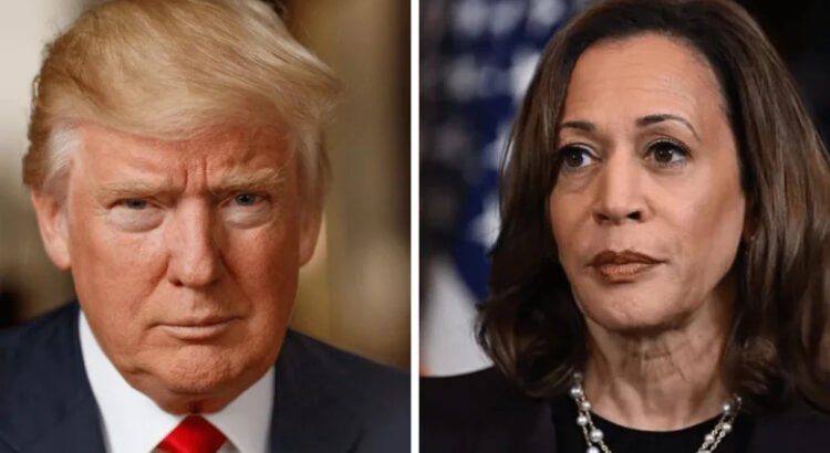 Trump retira protección del servicio secreto a Kamala Harris Trump retira protección del servicio secreto a Kamala Harris