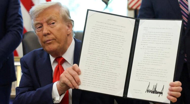 Trump afirma que ya lo llaman “Presidente de Europa” mientras firma órdenes ejecutivas Trump afirma que ya lo llaman “Presidente de Europa” mientras firma órdenes ejecutivas