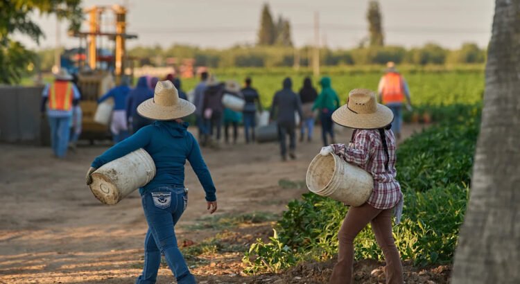 1,2 millones de inmigrantes han dejado la fuerza laboral de EEUU durante el mandato de Trump