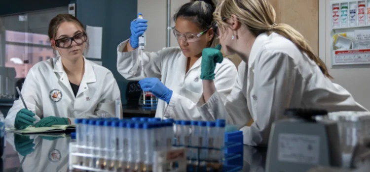 La Universidad de Arizona ocupa el primer puesto como Licenciatura en Ciencias en Biología en línea según Forbes