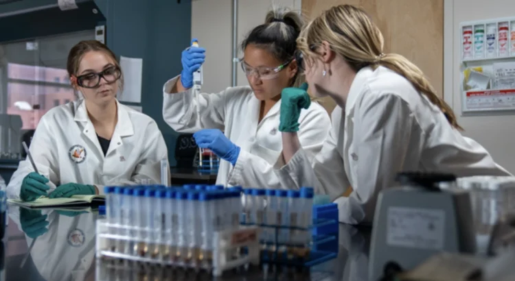 La Universidad de Arizona ocupa el primer puesto como Licenciatura en Ciencias en Biología en línea según Forbes