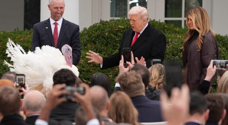 Trump perdona a los pavos, pero no a sus oponentes políticos en la ceremonia anual de indultos Trump perdona a los pavos, pero no a sus oponentes políticos en la ceremonia anual de indultos