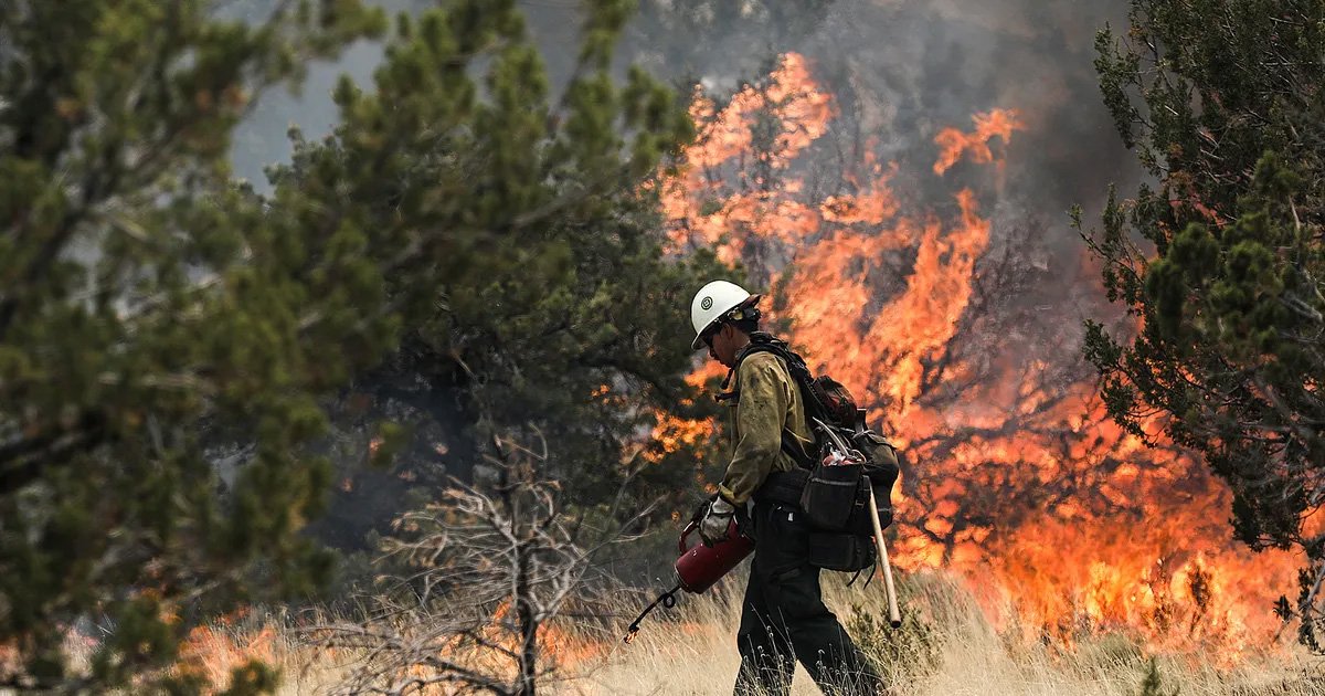 El cambio climático en Arizona genera preocupación, pero podría ayudar a combatir los incendios forestales.