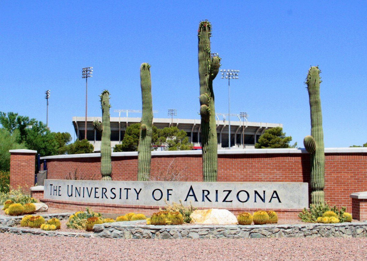 Seis fraternidades de la Universidad de Arizona fueron suspendidas de inmediato en medio de una investigación por mala conducta.